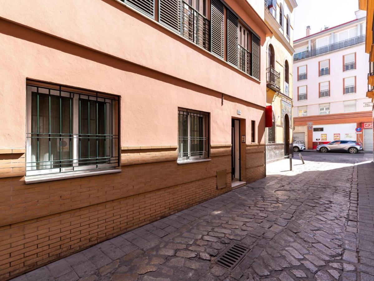 Holi-rent Antillano Campos